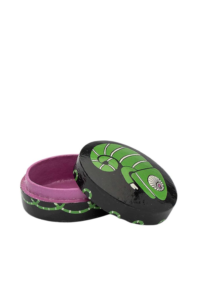 Chameleon Jewellery Box