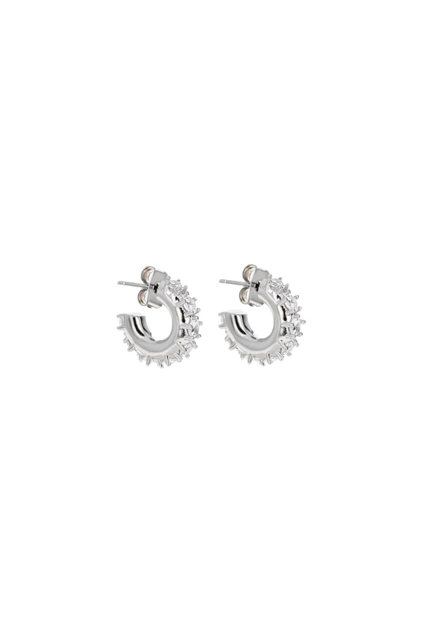 Nina Small Earrings