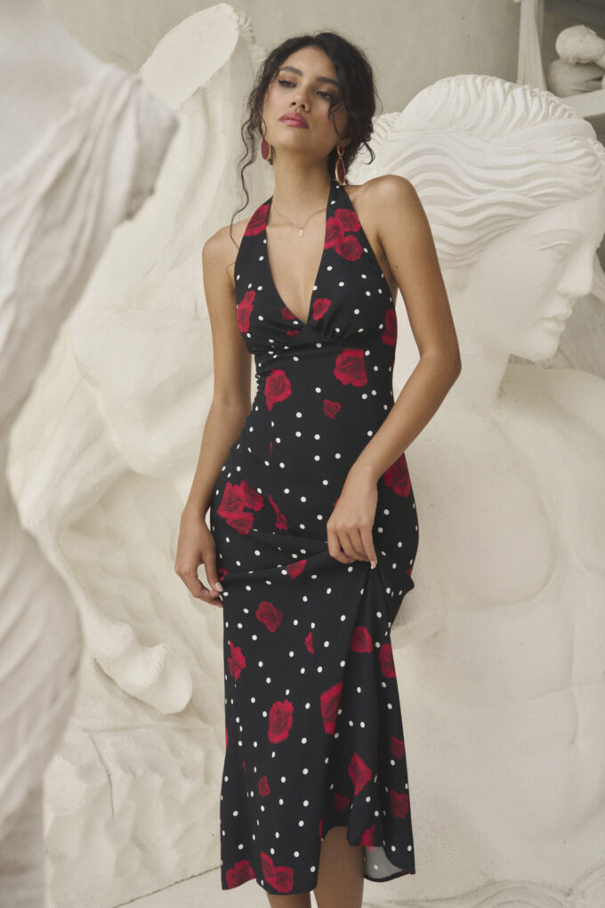 Daphne Midnight Dream