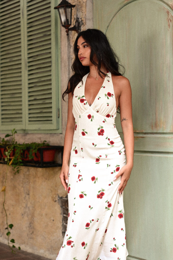 Daphne Romantic Rose Dress